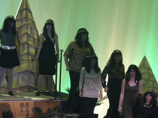 Enlarge photo 209