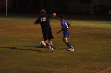 Enlarge photo 239