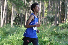 Enlarge photo 93