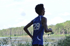 Enlarge photo 98