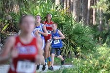 Enlarge photo 113