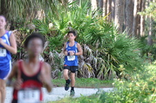 Enlarge photo 114