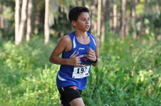 Enlarge photo 127