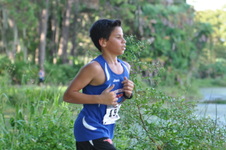 Enlarge photo 130
