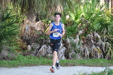 Enlarge photo 135