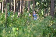 Enlarge photo 190