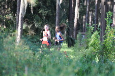 Enlarge photo 214