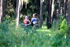 Enlarge photo 215