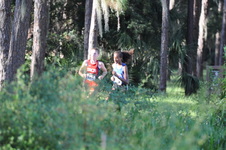 Enlarge photo 216