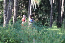 Enlarge photo 217