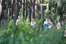 Enlarge photo 232