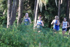 Enlarge photo 235