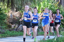 Enlarge photo 241