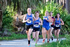 Enlarge photo 242