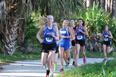 Enlarge photo 243