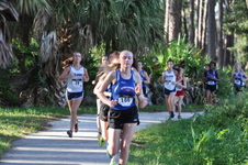 Enlarge photo 248