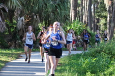 Enlarge photo 249