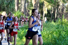 Enlarge photo 257