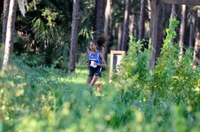 Enlarge photo 267