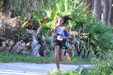 Enlarge photo 269
