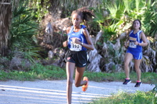 Enlarge photo 270