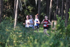 Enlarge photo 284