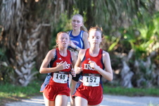 Enlarge photo 298