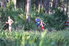 Enlarge photo 349