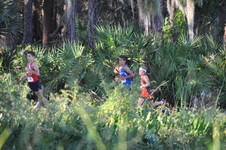 Enlarge photo 351