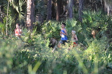 Enlarge photo 353