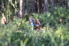 Enlarge photo 354