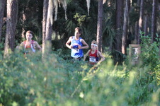 Enlarge photo 355