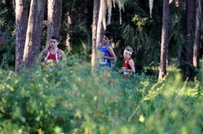 Enlarge photo 356