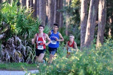 Enlarge photo 357