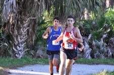 Enlarge photo 359