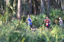 Enlarge photo 367