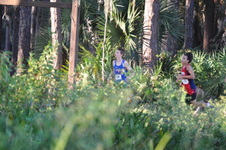 Enlarge photo 369