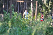 Enlarge photo 370