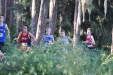Enlarge photo 373