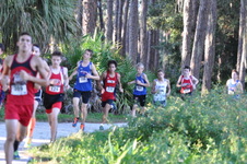 Enlarge photo 375