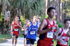 Enlarge photo 377