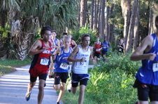 Enlarge photo 380