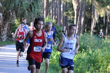 Enlarge photo 382