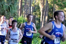 Enlarge photo 410