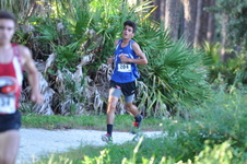 Enlarge photo 422