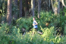 Enlarge photo 435