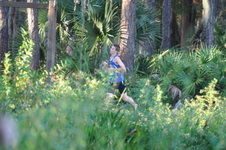 Enlarge photo 436