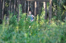 Enlarge photo 437