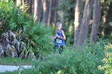 Enlarge photo 452