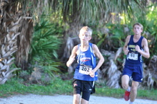 Enlarge photo 459